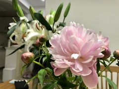 -兔兔家蛋糕甜品(德胜店)