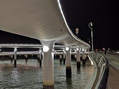 -演武大桥观景平台