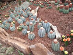 -南通洲际绿博园