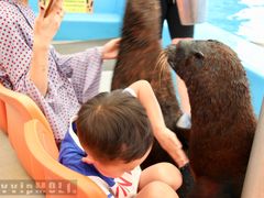 -尼莫海豚馆
