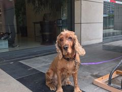 -招商银行(北京朝外大街支行)