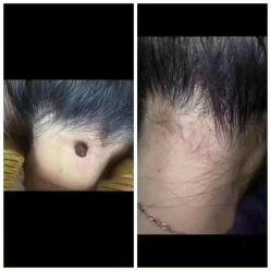 点击看大图 -智丽佳人祛斑祛痘美容美体