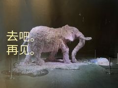 -成都许燎源现代设计艺术博物馆