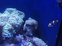 -成都浩海立方海洋公园