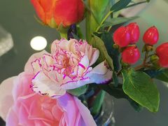 -大连中升雷克萨斯(华北路店)