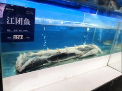 -眉州东坡(博雅店)