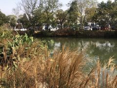 -中国湿地博物馆