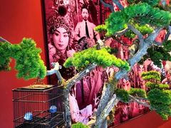 -俏江南天津时尚曲艺主题餐厅(马场道店)