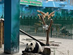-沈阳森林动物园