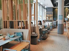 -原味四季椰子鸡(平湖天虹店)