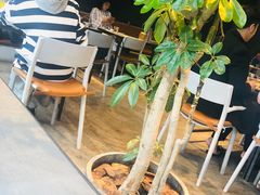 大堂-日上三甘(三里屯店)