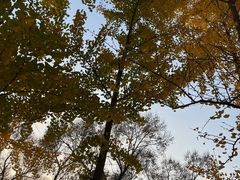 -森林公园(尖草坪区)