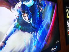 -奥斯卡升龙国际影城(RealD Cinema)