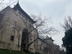 -武汉大学-樱园