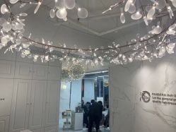 -潘多拉Hairsalon