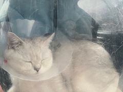 -北京恒爱动物医院(清景园分院)