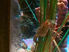 -沈阳海洋探索中心