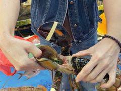 -船奇蒸汽海鲜·闽菜(八市海鲜总店)