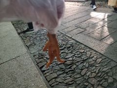 -鸡脚旮旯平江路店