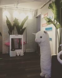 -V Beautique妆颜美学体验馆