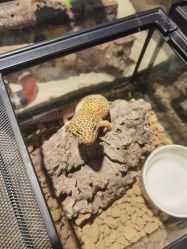 -酷嗒动物文化乐园(cutezoo西溪乐天城店)