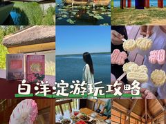 -白洋淀景区