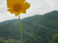 -周洛大峡谷
