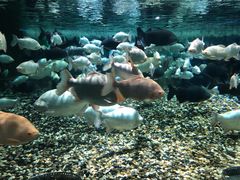 -成都浩海立方海洋公园