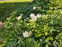 -狼山风景名胜区