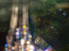 -火车头法国西餐厅