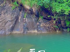 -广州白江湖森林公园