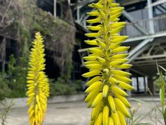-广州市紫泥堂文化创意园景区