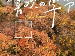 -香山公园