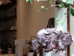 -花·fleur古董西餐厅(西城夜未央店)