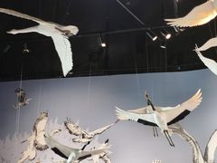 -中国湿地博物馆