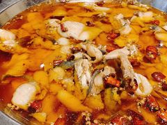 沸腾水煮鱼-新沸腾鱼乡(世贸天阶店)