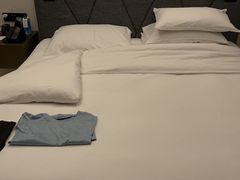 -成都凯宾斯基饭店