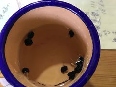 -九华山友谊土菜馆 小资餐厅