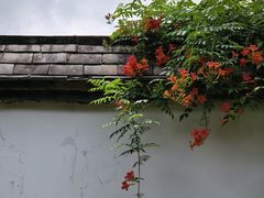 -文儒九号·闽菜馆(三坊七巷店)