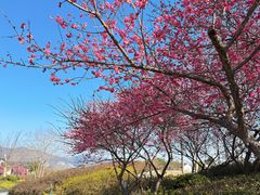 -雅达·阳羡溪山小镇中心