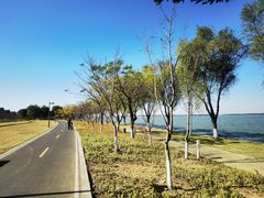 -阳澄湖半岛旅游度假区