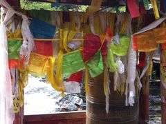 -九寨沟-树正沟