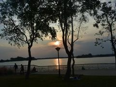 -贡湖湾湿地公园
