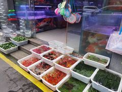 -青石桥花鸟鱼虫市场(叠翠城店)