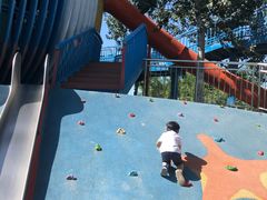 -永定河休闲森林公园