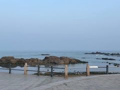 -海合安青岛极地海洋公园