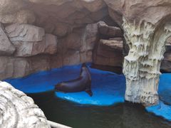 -华夏文旅海洋公园