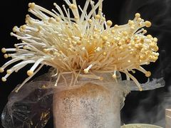 -巴倒烫陆派火锅山庄(南山总店)