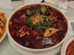 -红杏酒家·地道川菜(一品天下店)