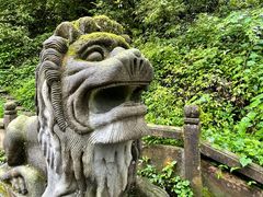 -青城山